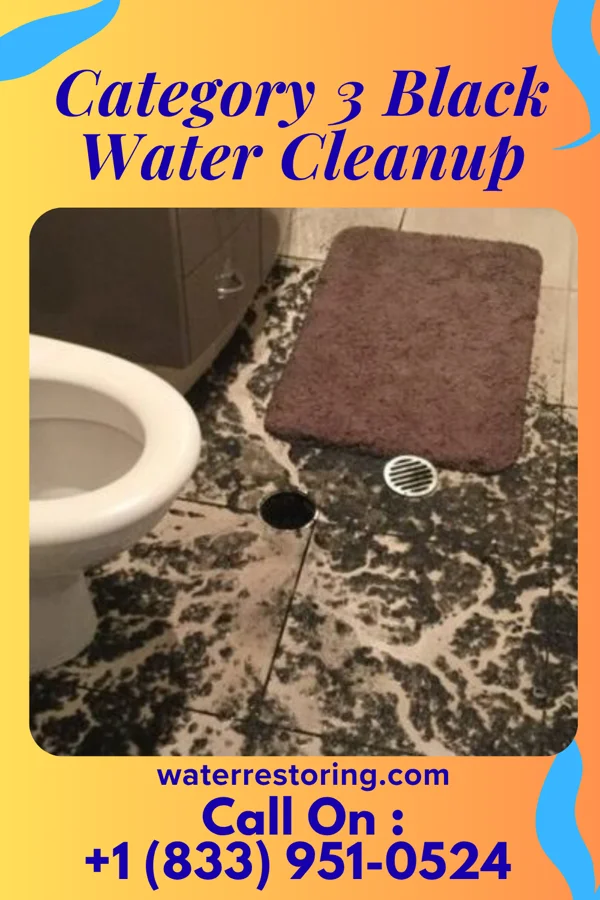 Category 3 Black Water Cleanup in Irving, TX